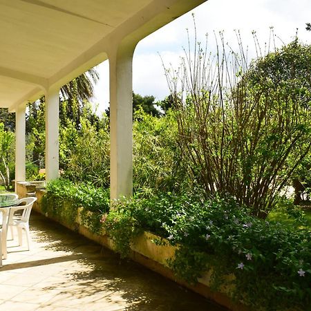 La Cecia - Casa Vacanze Nella Campagna Salentina Cavallino di Lecce Ngoại thất bức ảnh