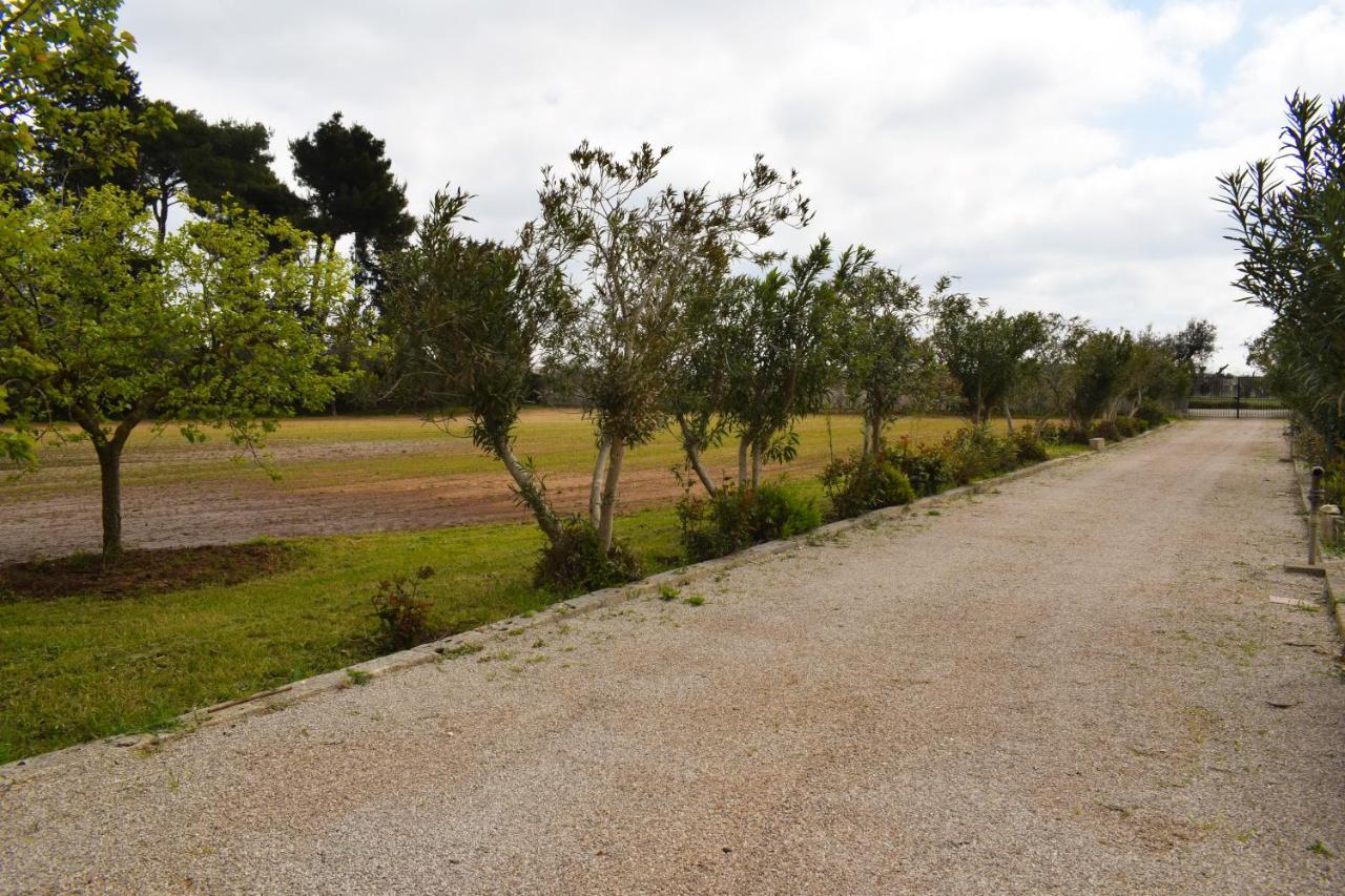 La Cecia - Casa Vacanze Nella Campagna Salentina Cavallino di Lecce Ngoại thất bức ảnh